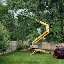 Best Aeration Services  in Schler Park, IL